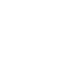 icons8-passport-100