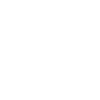 icons8-traveler-100